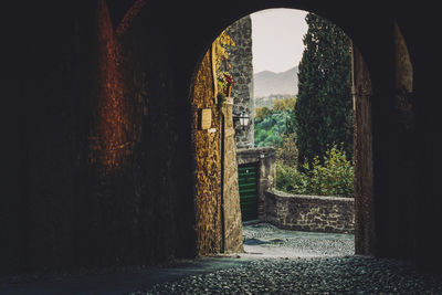 Trees seen through archway