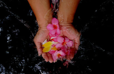 Directly above shot of cropped hands frangipanis in water