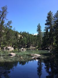 Scenic view of lake against clear blue sky