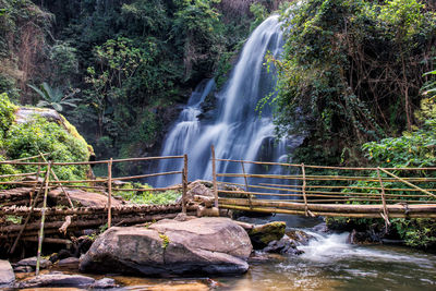 Waterfall in forest