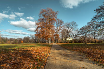 Trees on field against sky during autumn