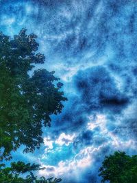 Low angle view of tree against sky
