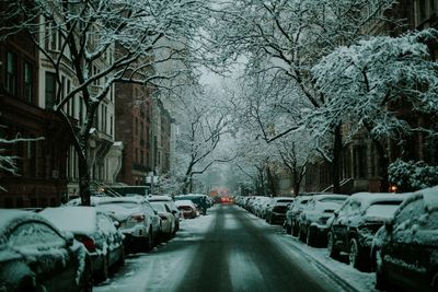 Cars on street in winter