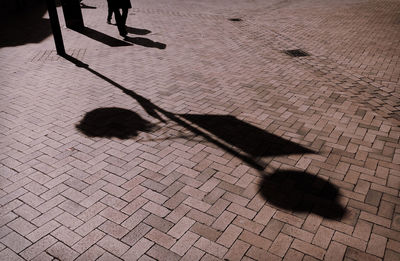 Shadow of street light on paved street