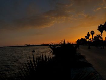 Silhouette palm trees on beach against sky during sunset