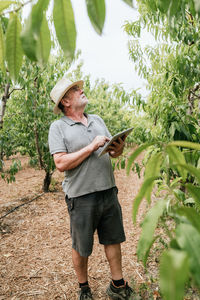 Aged man in casual clothes and hat checking data on tablet standing looking up near peach tree during work on farm on summer day