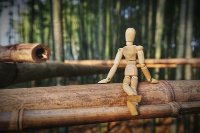 Close-up of figurine on wood