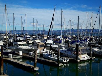 Sailboats moored on harbor against sky