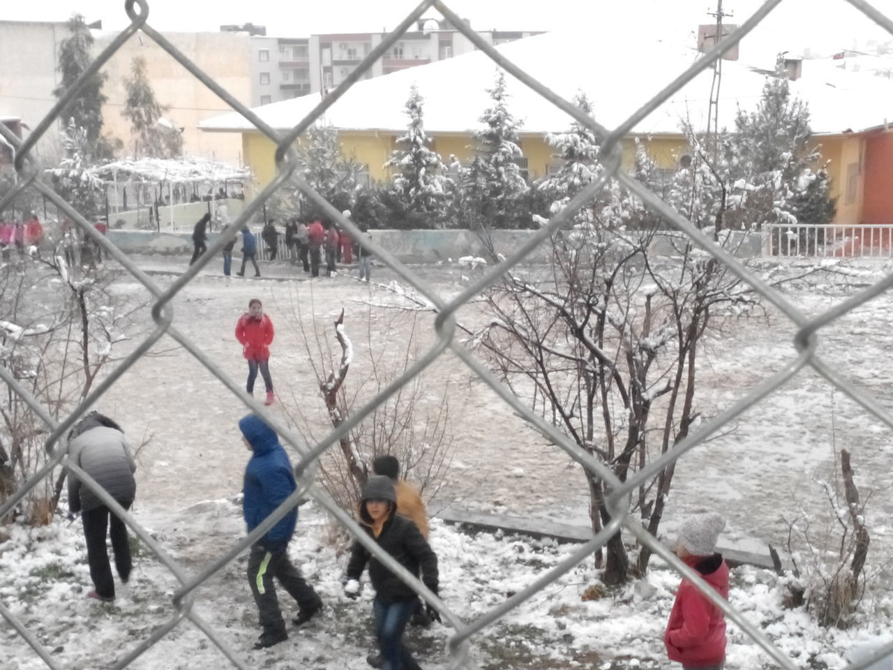 lifestyles, built structure, building exterior, leisure activity, architecture, men, person, day, full length, winter, enjoyment, outdoors, railing, snow, fun, tree, large group of people, cold temperature