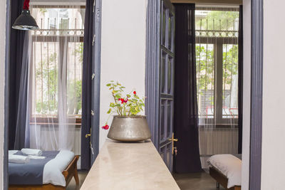 Potted plant on table at home