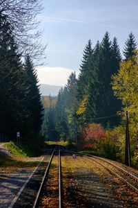 Railroad tracks amidst trees against sky during autumn