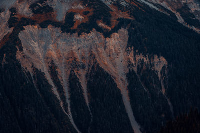 Full frame shot of rock with trees in background