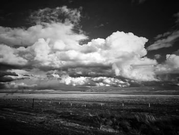 Scenic view of field against sky