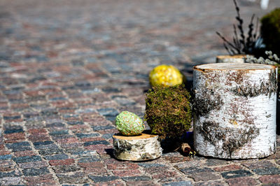 Birch blocks, eggs and other easter decorations on the pavement in the sun, copy space