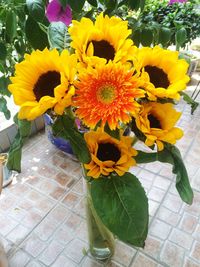 Close-up of flowers in vase