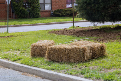 Hay bales on field