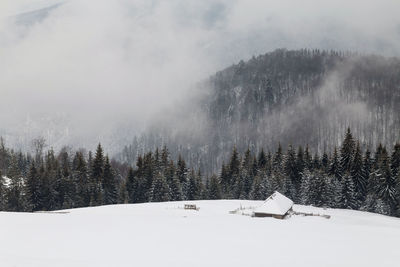 Trees on snow covered landscape against sky
