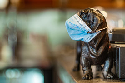 Close-up of animal sculpture