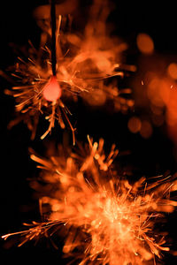 Close-up of fire crackers at night