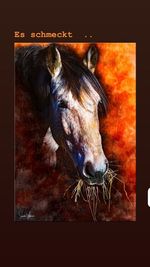 Close-up of horse in stable