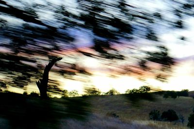 Blurred motion of trees on field against sky