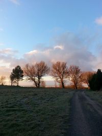 Bare trees on landscape against sky