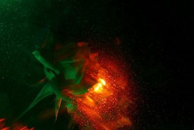 Close-up of burning fire at night