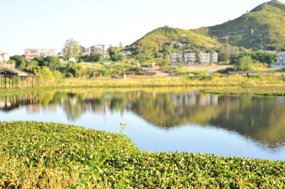 Scenic view of agricultural landscape against sky