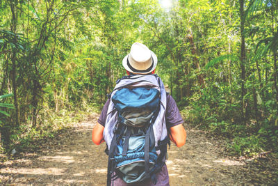 Rear view of man wearing hat in forest