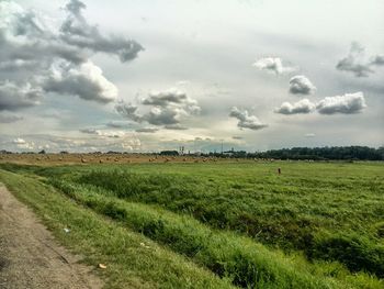 Scenic view of grassy field against sky