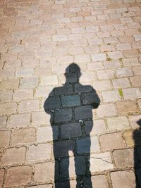 Shadow of man on stone wall