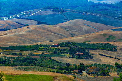 High angle view of agricultural field