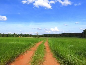 Scenic view of agricultural field against sky