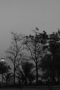 Low angle view of silhouette trees against sky