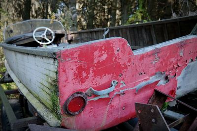 Close-up view of red leaf