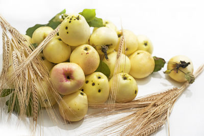 High angle view of fruits in basket