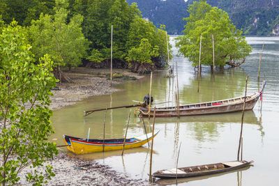 Local fishing boat moored near the mangrove forest at ao luek, krabi, thailand