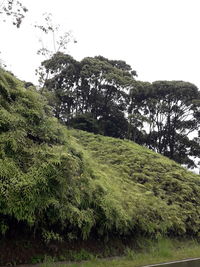 Scenic view of land against clear sky