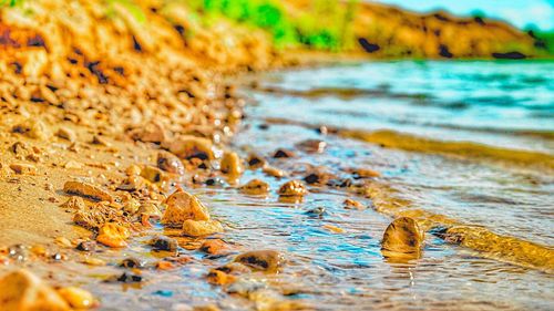 Close-up of water in sea