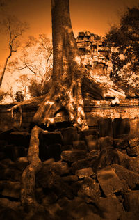 Statue against trees during sunset