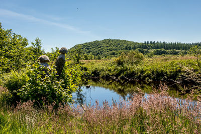 Plants growing on field by lake against sky