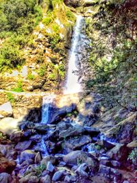 Scenic view of waterfall in forest