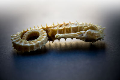 Close-up of crab on table