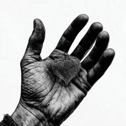 Close-up of hand against white background