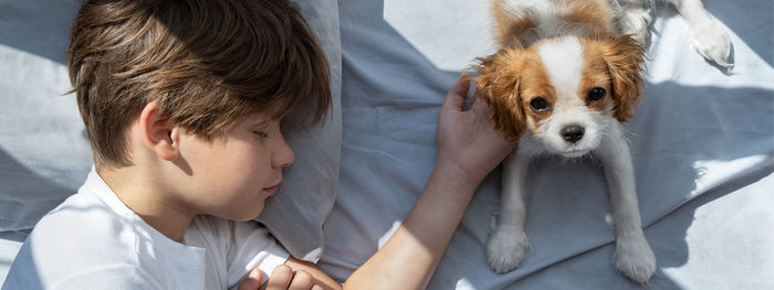 Boy with a dog in an embrace lies in bed. sleep with pets. cute puppy cavalier king charles spaniel.