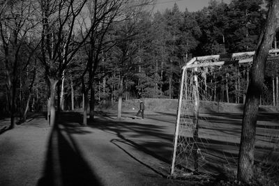 Empty road amidst trees in forest