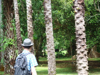 Rear view of hiker by trees in forest