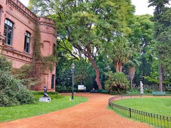 Trees in park