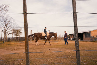 Little boy learning to ride horse