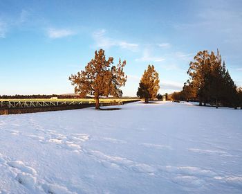 Snow covered landscape against sky